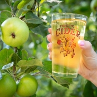 Edgefield Apple Cider